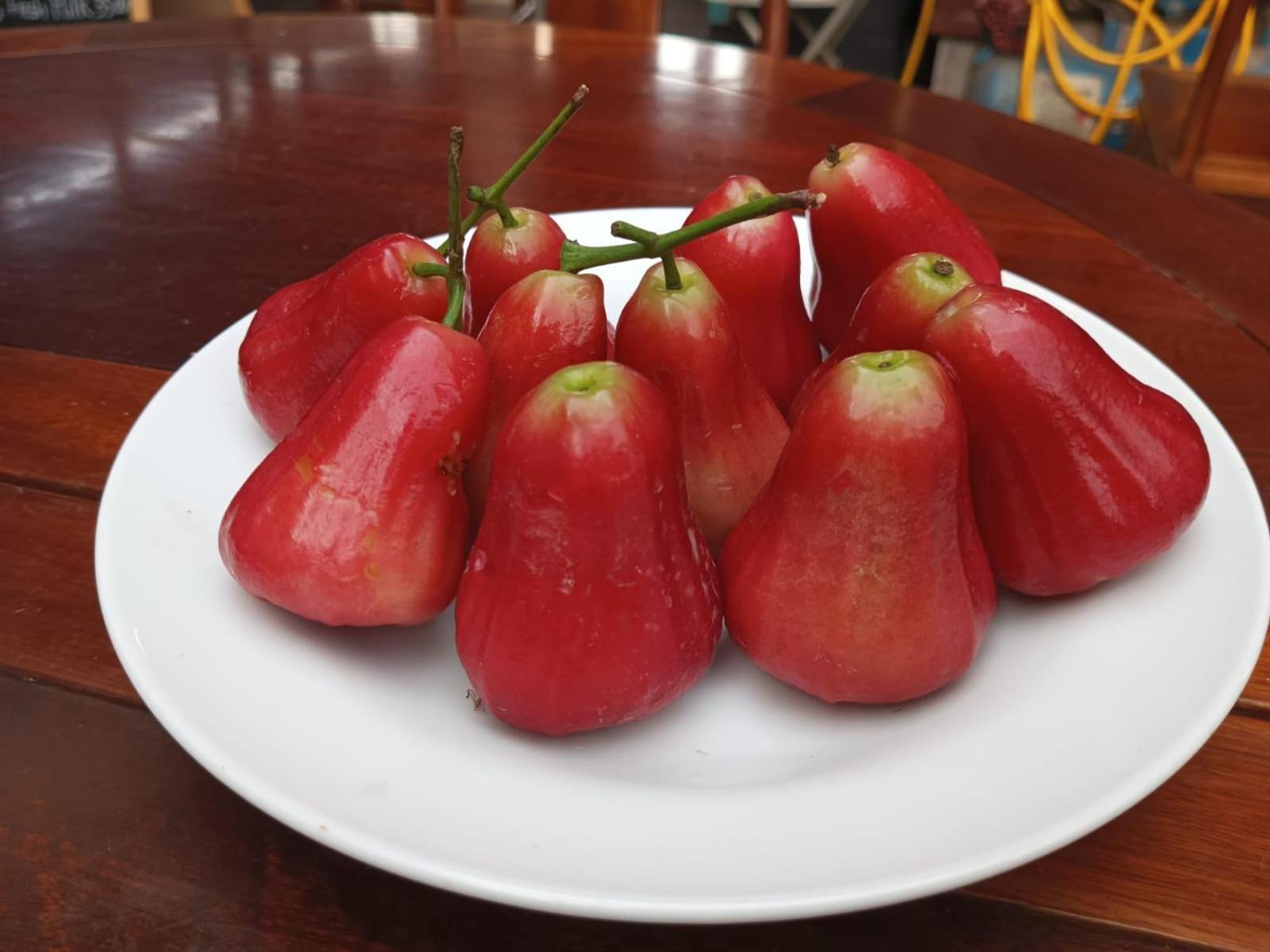 Song Lao Guesthouse Thakhek Eksteriør bilde